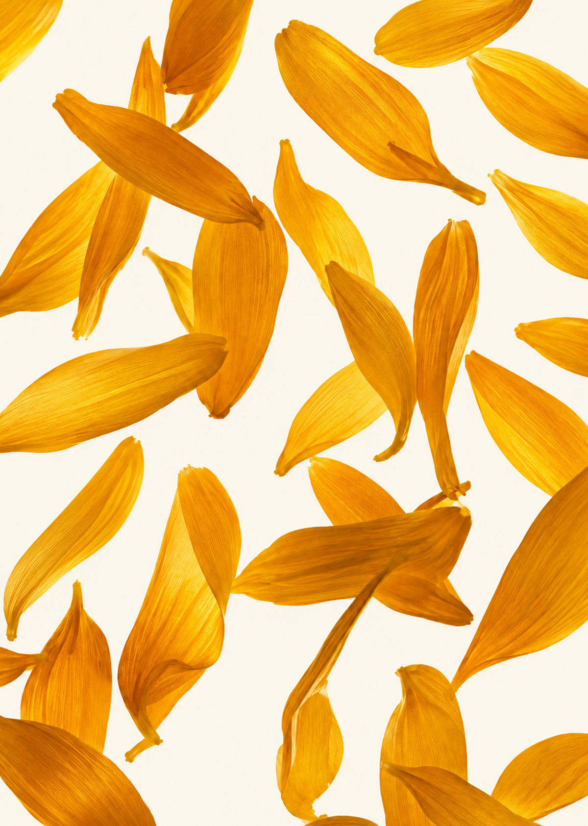 The Power Of Natural Skincare Ingredients